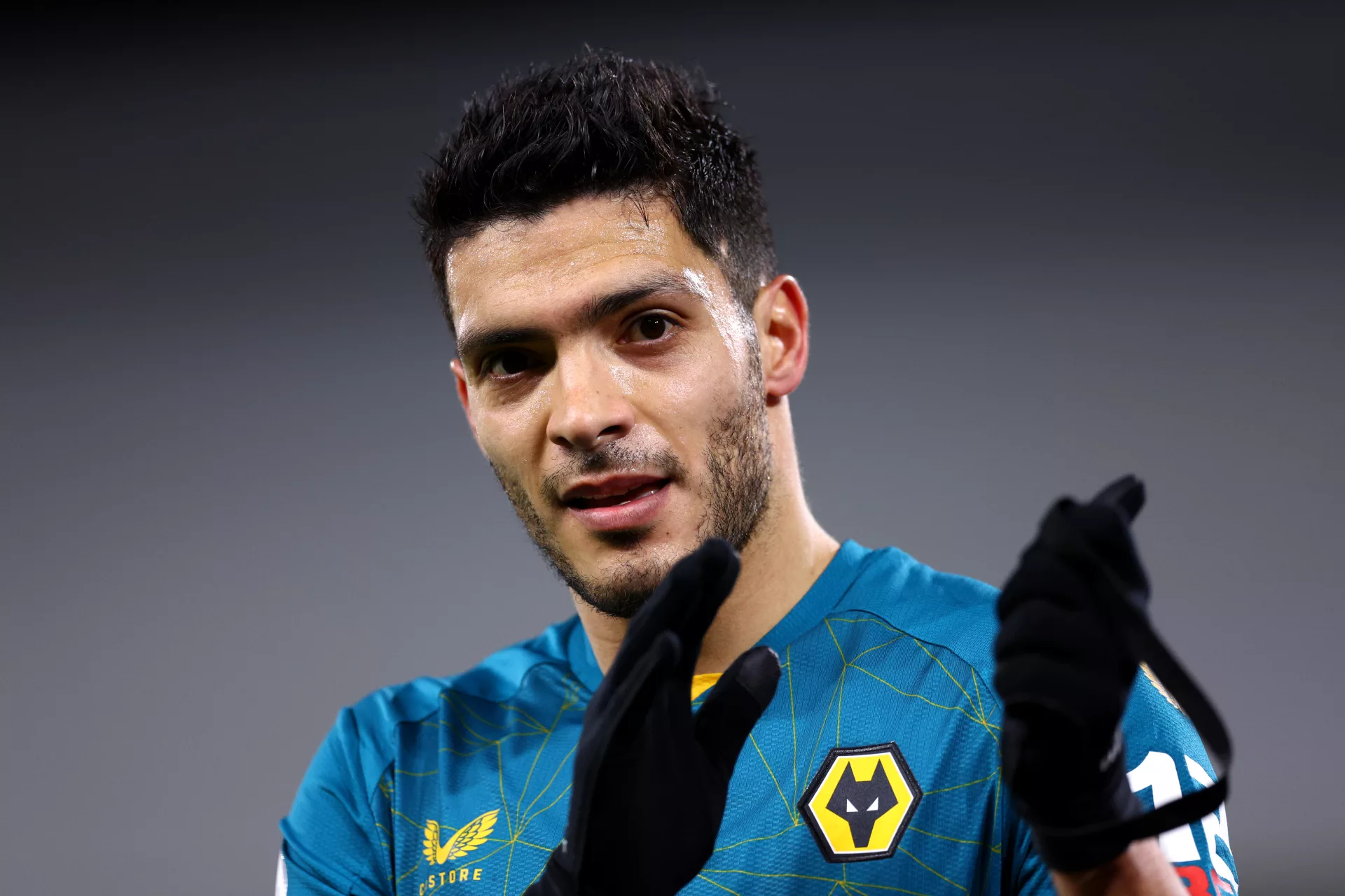 Premier League Loan Signings - Raul Jimenez