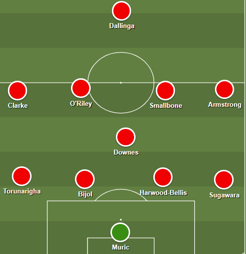 Southampton's Premier League Survival Plan 33 image 1