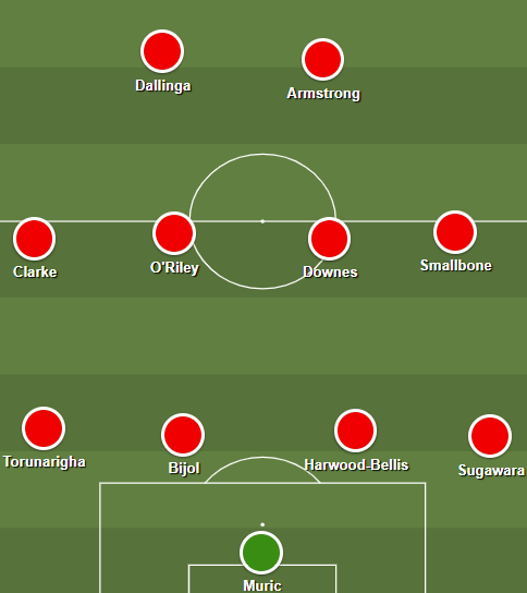 Southampton's Premier League Survival Plan 34 image 2