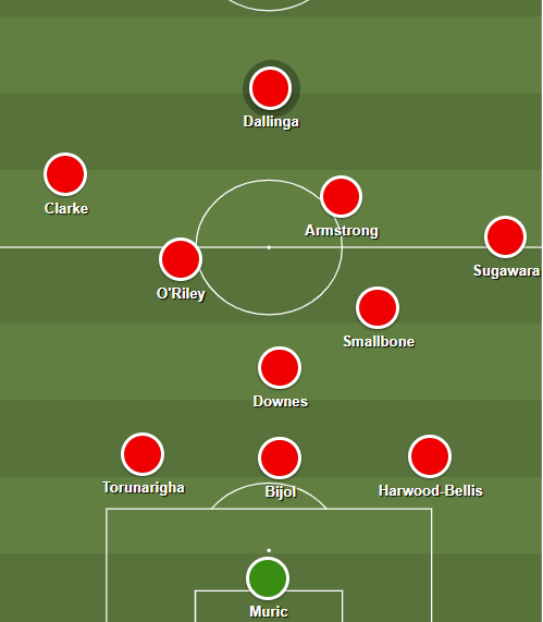 Southampton's Premier League Survival Plan 32 image
