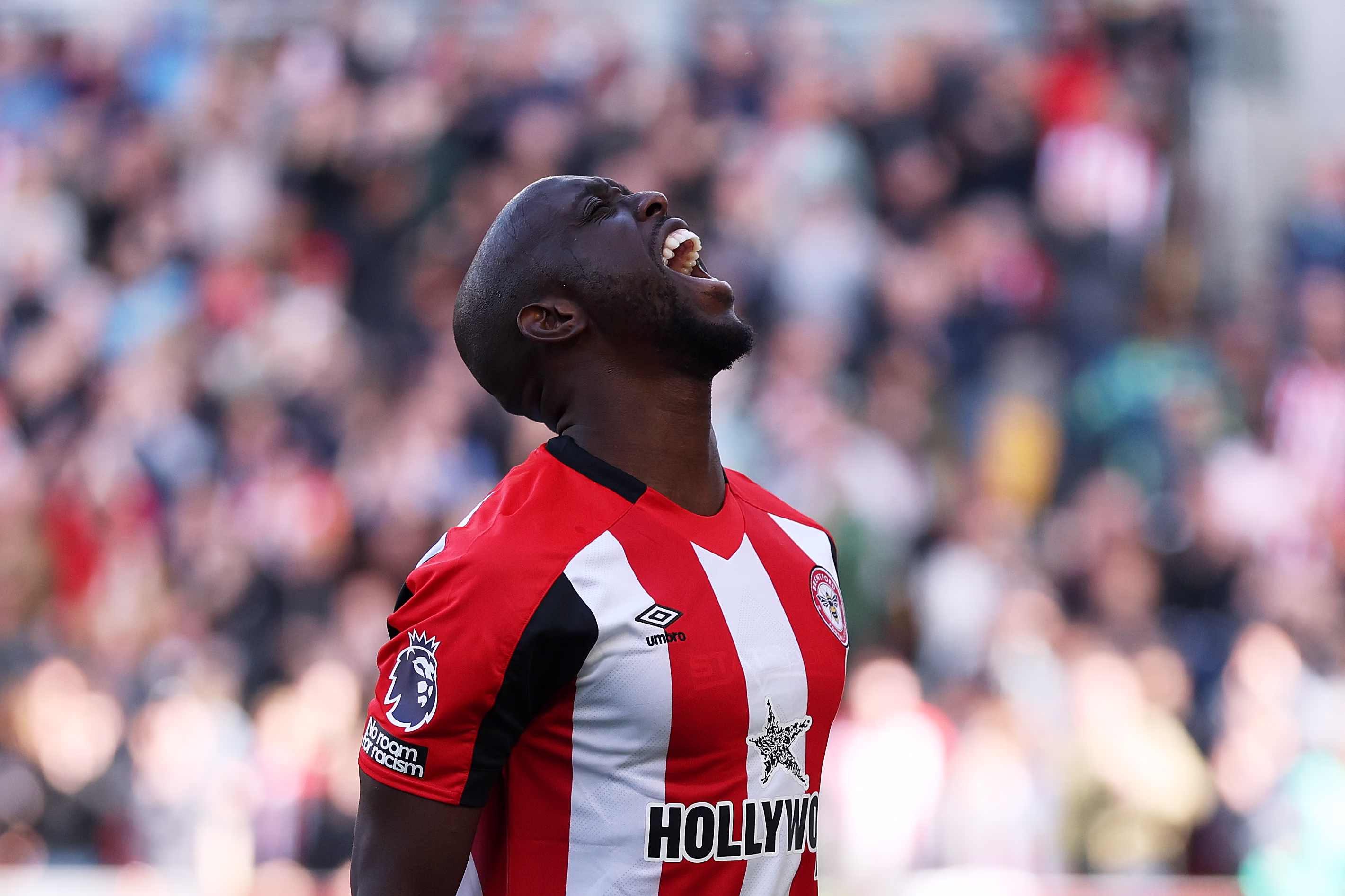 brentford fc v brighton and hove albion fc premier league