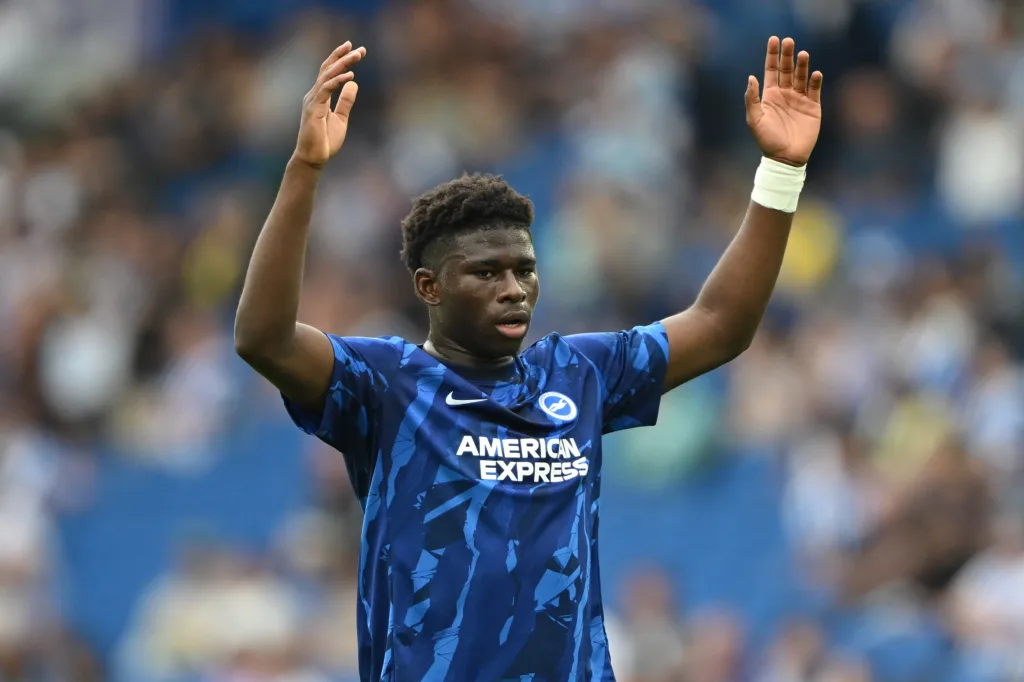 brighton and hove albion v fulham premier league